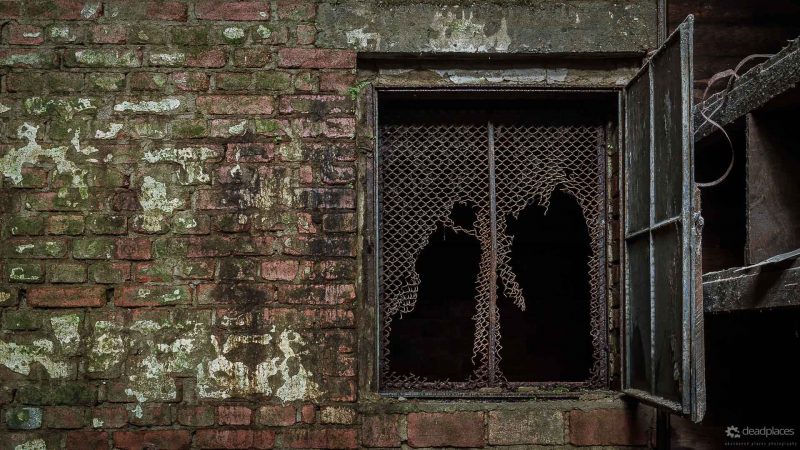 Antwort auf alle Fragen